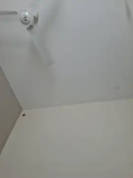 Kamdollie Live XXX-chat