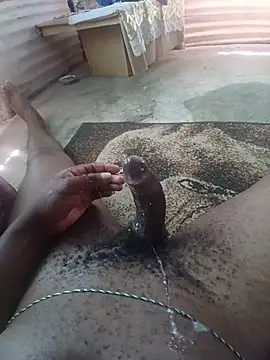Show de StintedRegiment na webcam