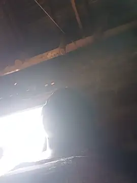 holygrail001 Live XXX-chat