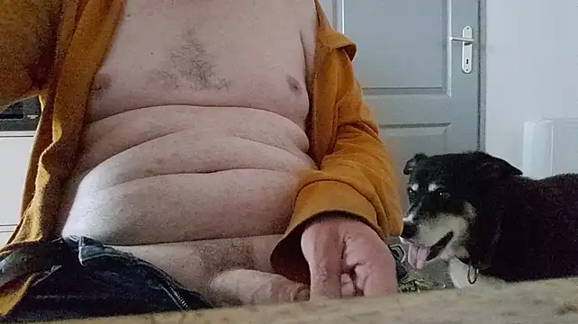 Вебкам-шоу strip-dick