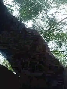 Avocadorable_ Chat XXX live