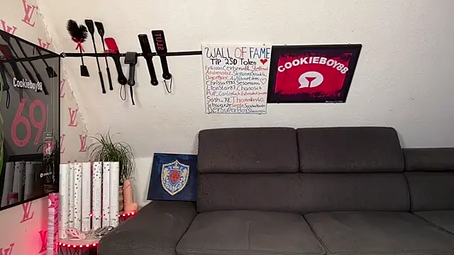 Cookieboy88 – Live XXX-chat