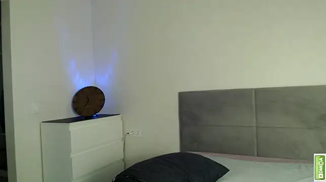 Show webcam de Arturswan