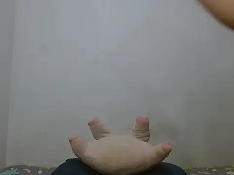 maylatin Live XXX-chat