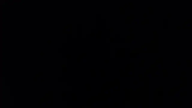 Pertunjukan Kamera Web natjuk