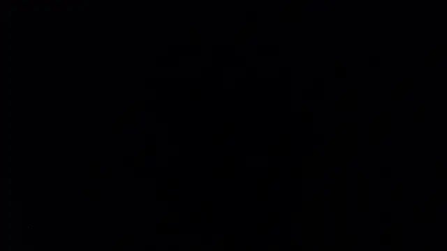 Show modela natjuk na web-kameri