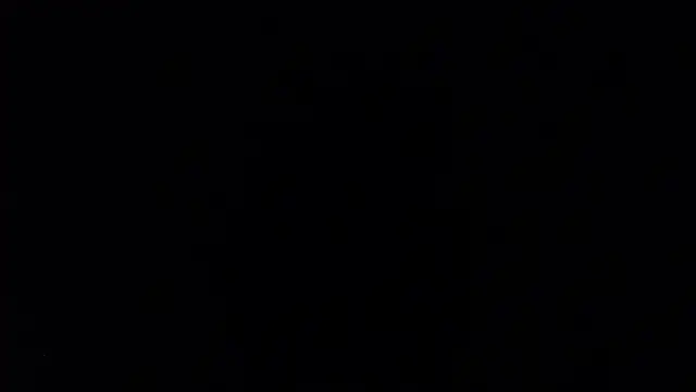 natjuk 现场XXX聊天