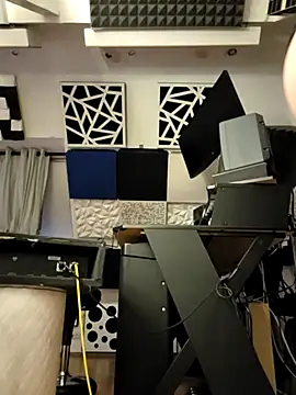 Spielzeugtwink Webcam-Show
