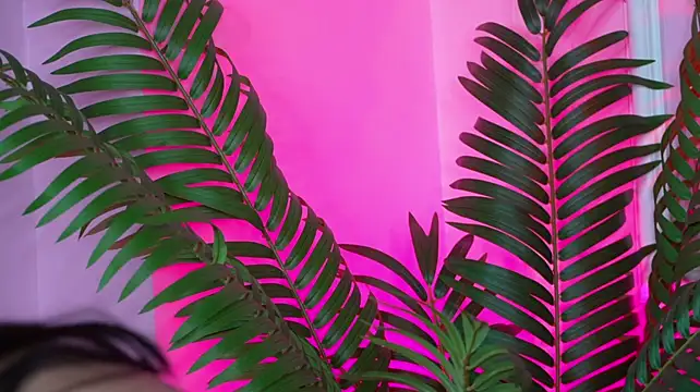 Chat XXX ao vivo de EssenaMonroe