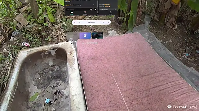 Chat XXX en directo de JungleFeverVR