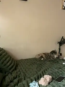 Chat XXX en directo de KammyX