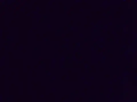 dada-dog Webcam-Show