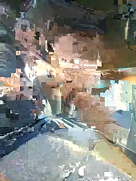 Show webcam de Policeman20742