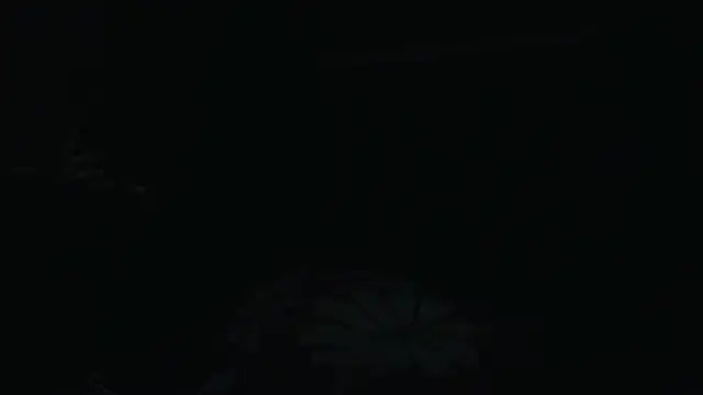 CharleyReidy Live XXX-chat