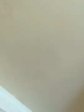 צ'אט XXX בשידור חי של KammyX
