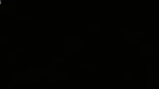 TransLexata Show Webcam