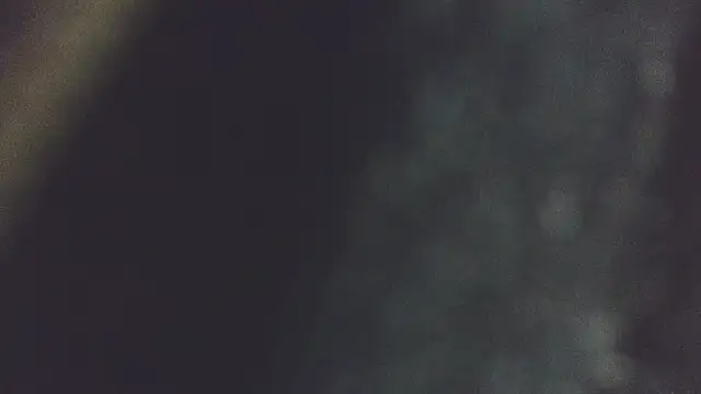 0SEANXのライブXXXチャット