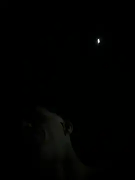 MeladoDiMeln Live XXX chat