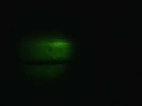 Živý XXX chat Floschae