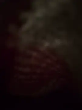 Kylie_desire_x 现场XXX聊天