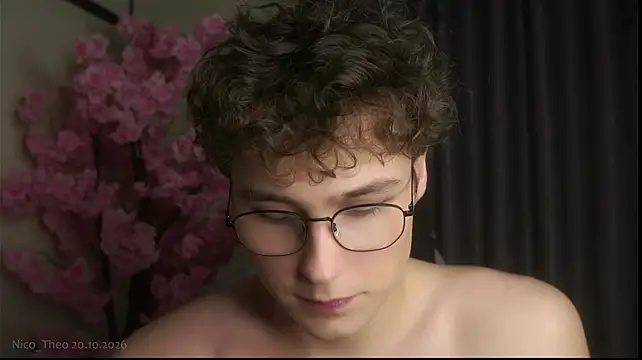 Chat XXX en directo de Nico_Theo