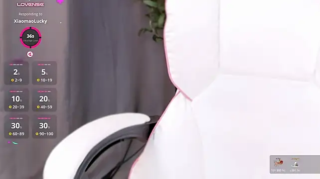 Purrbii 现场XXX聊天