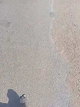 عرض كام taraaek