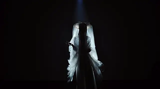 SeekLgt-001: διαδικτυακό σόου στην κάμερα