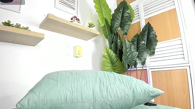 tiny_isawiiのライブXXXチャット