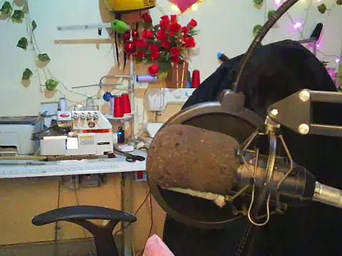 צ'אט XXX בשידור חי של Anaconda2350