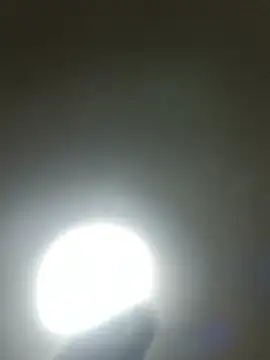 Chat XXX en directo de Spotless_Load