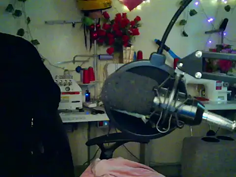 Anaconda2350 Chat XXX live