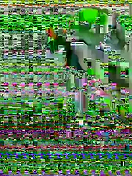 Show Webcam de jaynoi