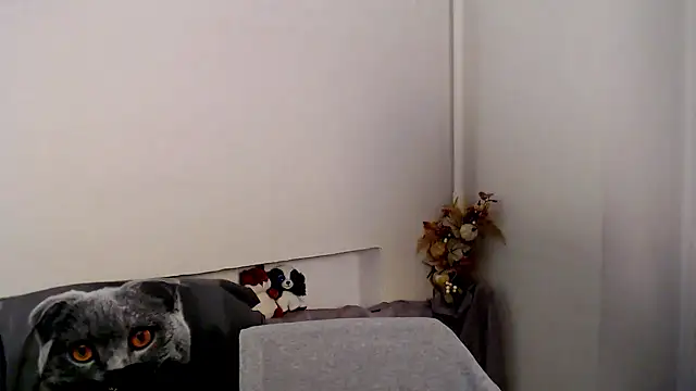 AprillXoxo 现场XXX聊天