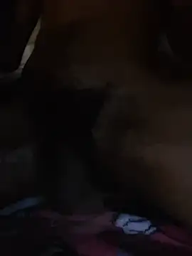 Eblock69n Webbikameraesitys