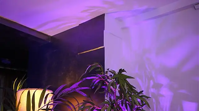 HotBustyBabeX Live XXX-Chat