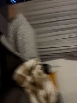 Chat +18 de InsaneMattt ao vivo