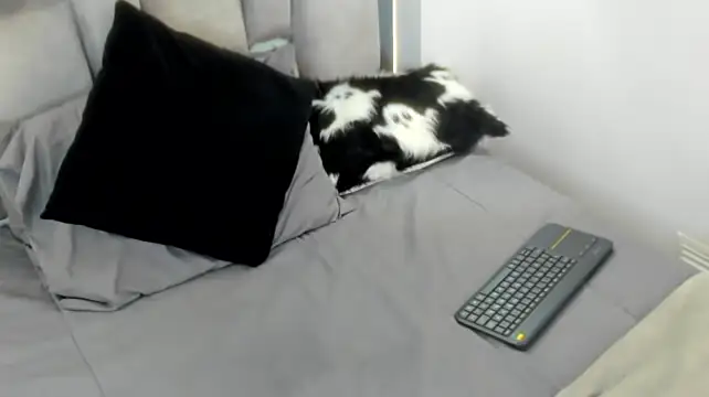 Alan__brook XXX чат на живо