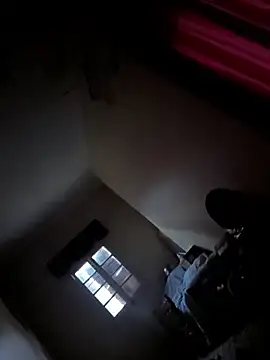 LonesomeMegawatt Show Webcam