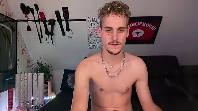 Chat XXX en directo de Cookieboy88