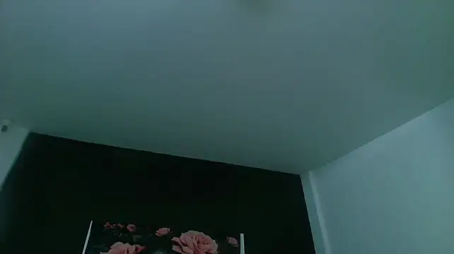 EvaaFoxxy1 Adlı Modelin Canlı XXX Sohbeti