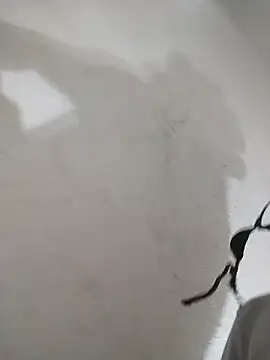 Živý XXX chat rejypool