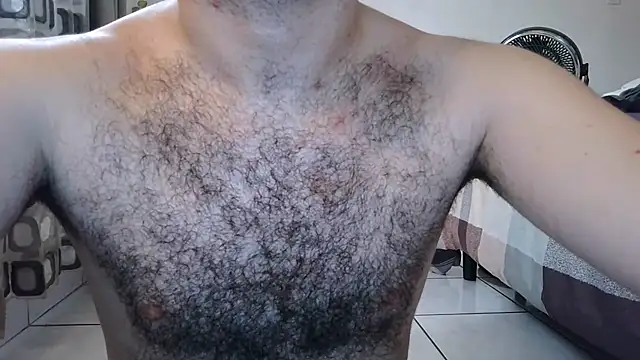 Chat +18 de rigo_hairyboy ao vivo