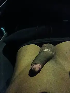 Novindelas01 Live XXX-chat