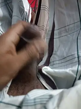 Honey-men Webcam-Show