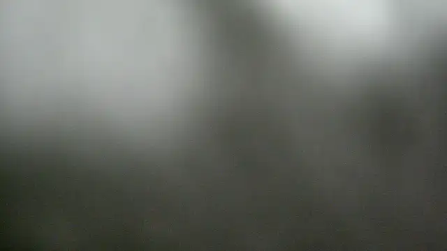 Seductivesoulxo Show Webcam