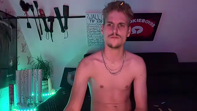 Chat XXX en directo de Cookieboy88