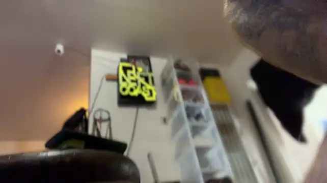 XXX chat uživo modela neonginger
