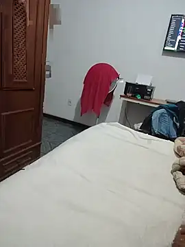 Show de Willdpo na webcam