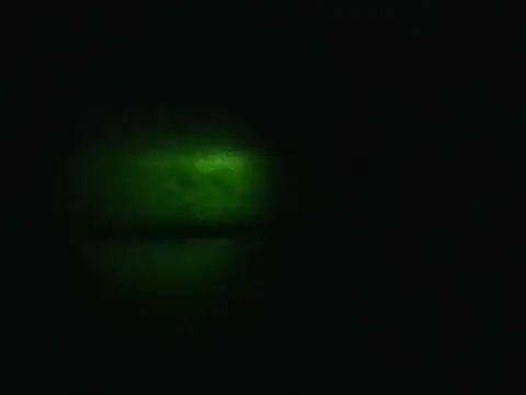 Floschae Live XXX-chat